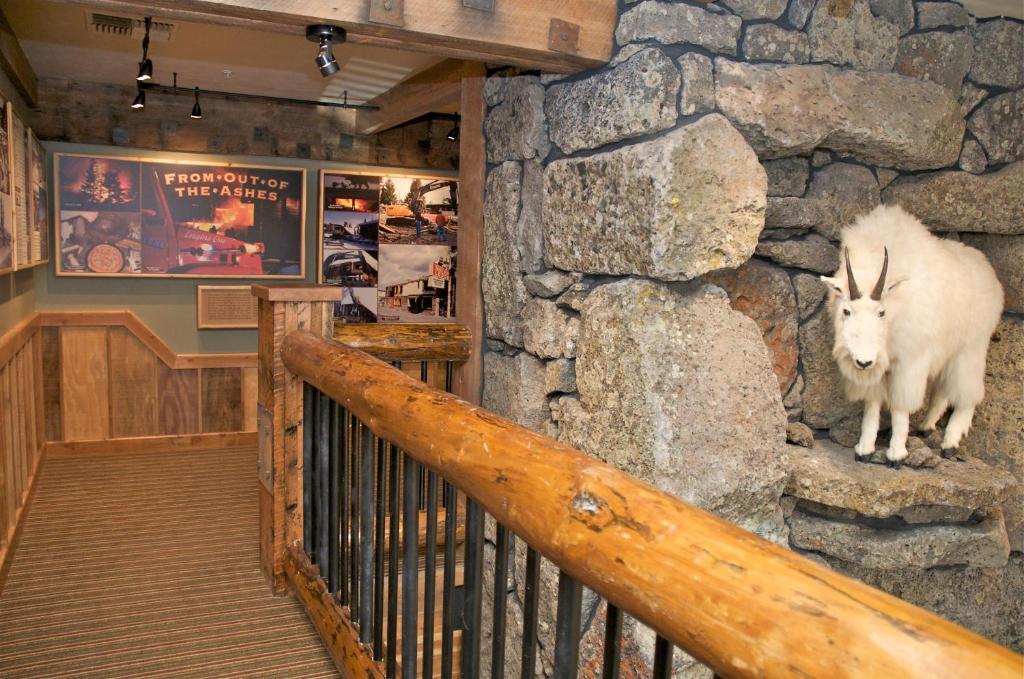 Three Bear Lodge West Yellowstone Dış mekan fotoğraf