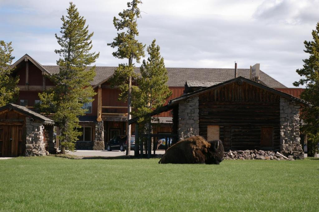 Three Bear Lodge West Yellowstone Dış mekan fotoğraf