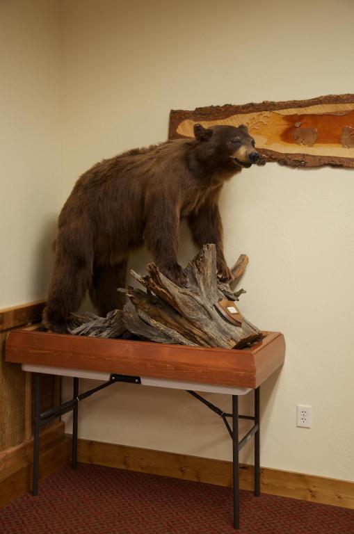 Three Bear Lodge West Yellowstone Dış mekan fotoğraf